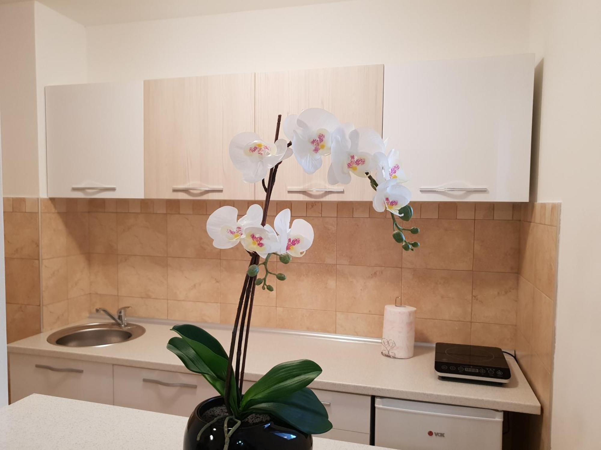 Apartman Kej Free Parking Kraljevo Dış mekan fotoğraf